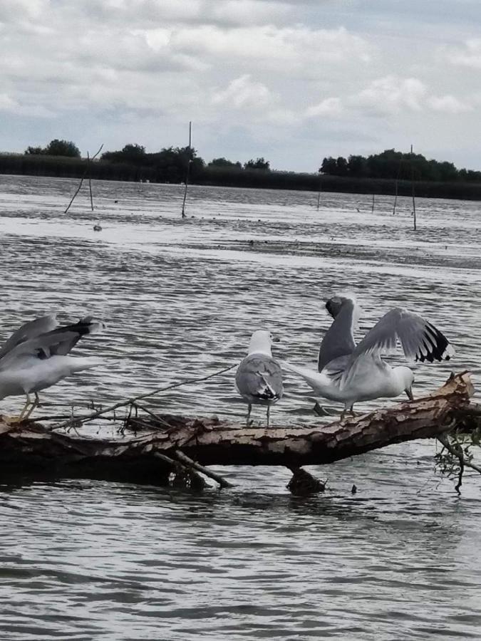 Pensiunea Iubire De Delta " La Traian " ムリギオル エクステリア 写真